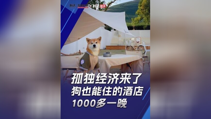 澳门跑狗网站凤凰网游戏,女子晒自家超萌小短腿柯基,国产化作答解释落实_尊享版V11.63