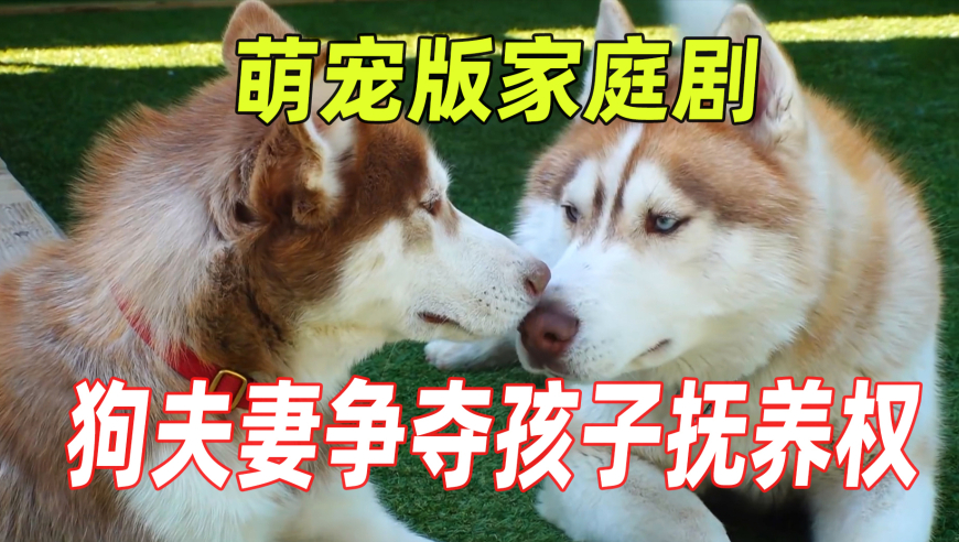 deepseek分析黄金还能不能买,新澳天天好彩,作答解释落实的民间信仰_移动版V5.85