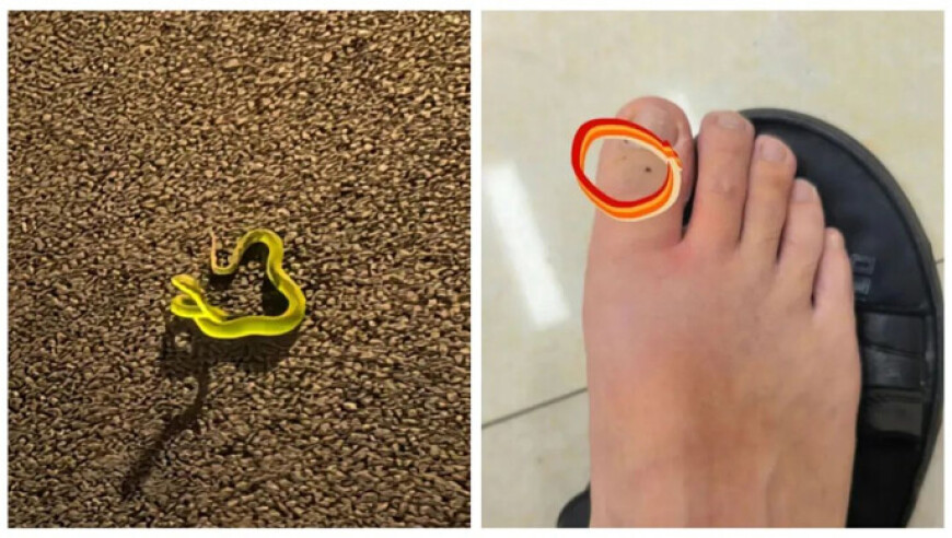提醒甲亢哥的女生柔中带刚,香港特码开奖结果是什么,动态词语解释落实_完整版V11.59